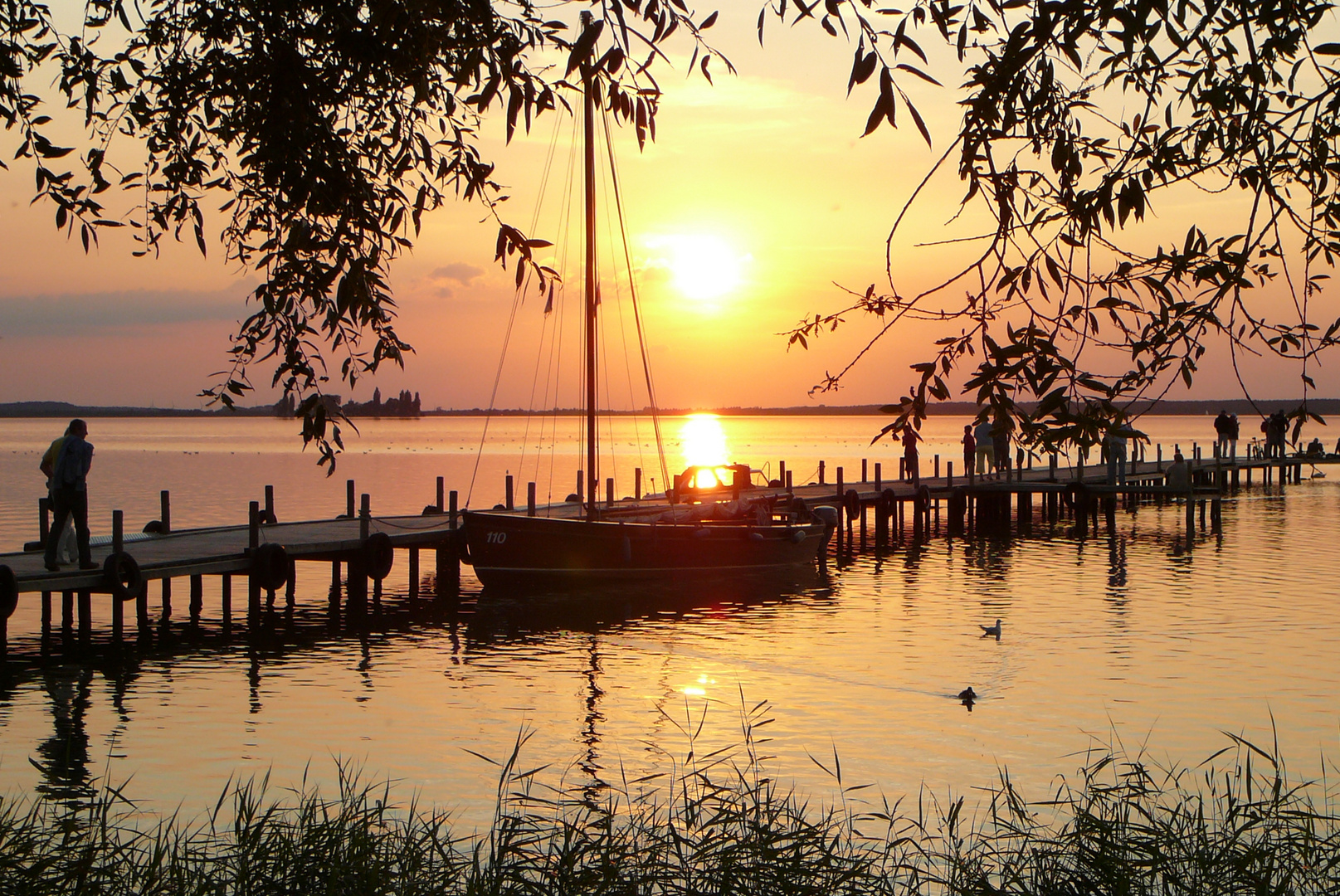 Abendstimmung, Steinhuder Meer