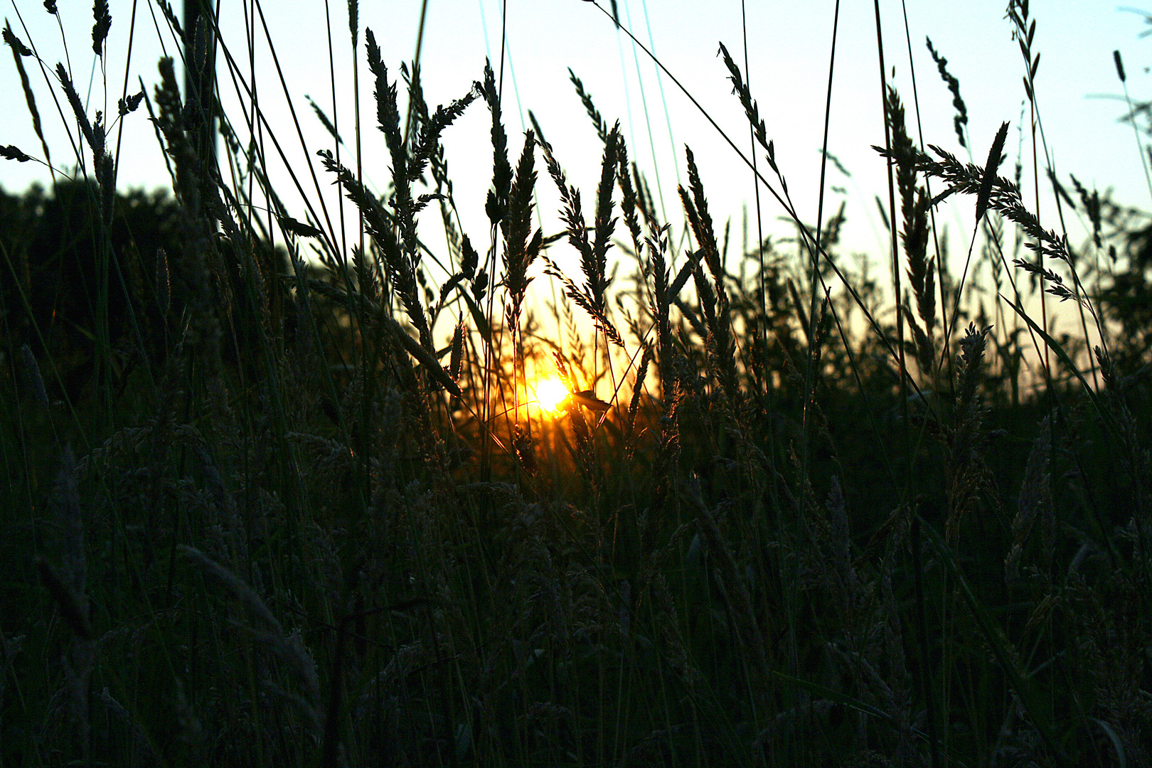 Abendstimmung Tecklenburger Land