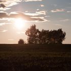 Abendstimmung über Brahmenau Thüringen