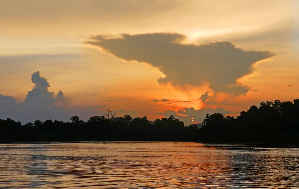 Abendstimmung über dem Kinabatangan