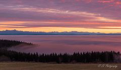 Abendstimmung über dem Nebelmeer