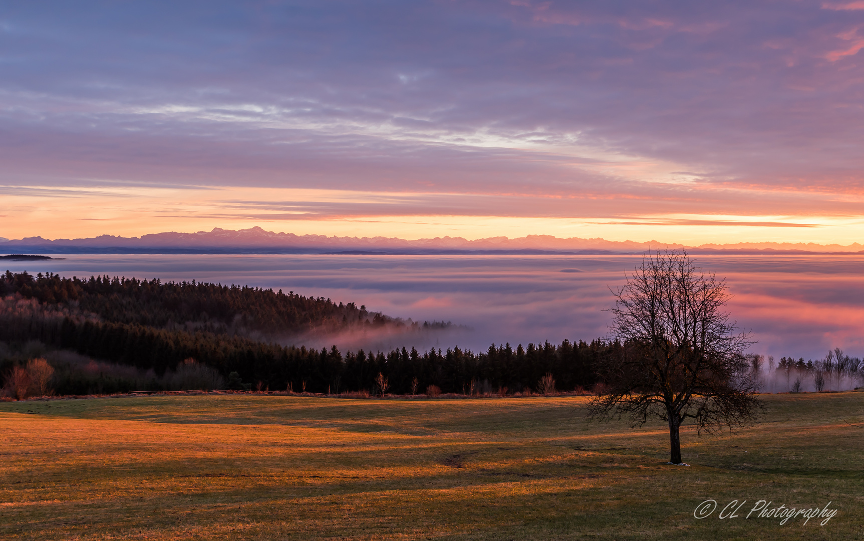 Abendstimmung über dem Nebelmeer