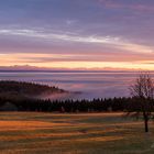 Abendstimmung über dem Nebelmeer