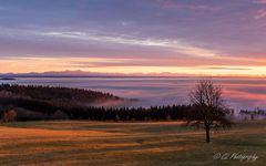 Abendstimmung über dem Nebelmeer