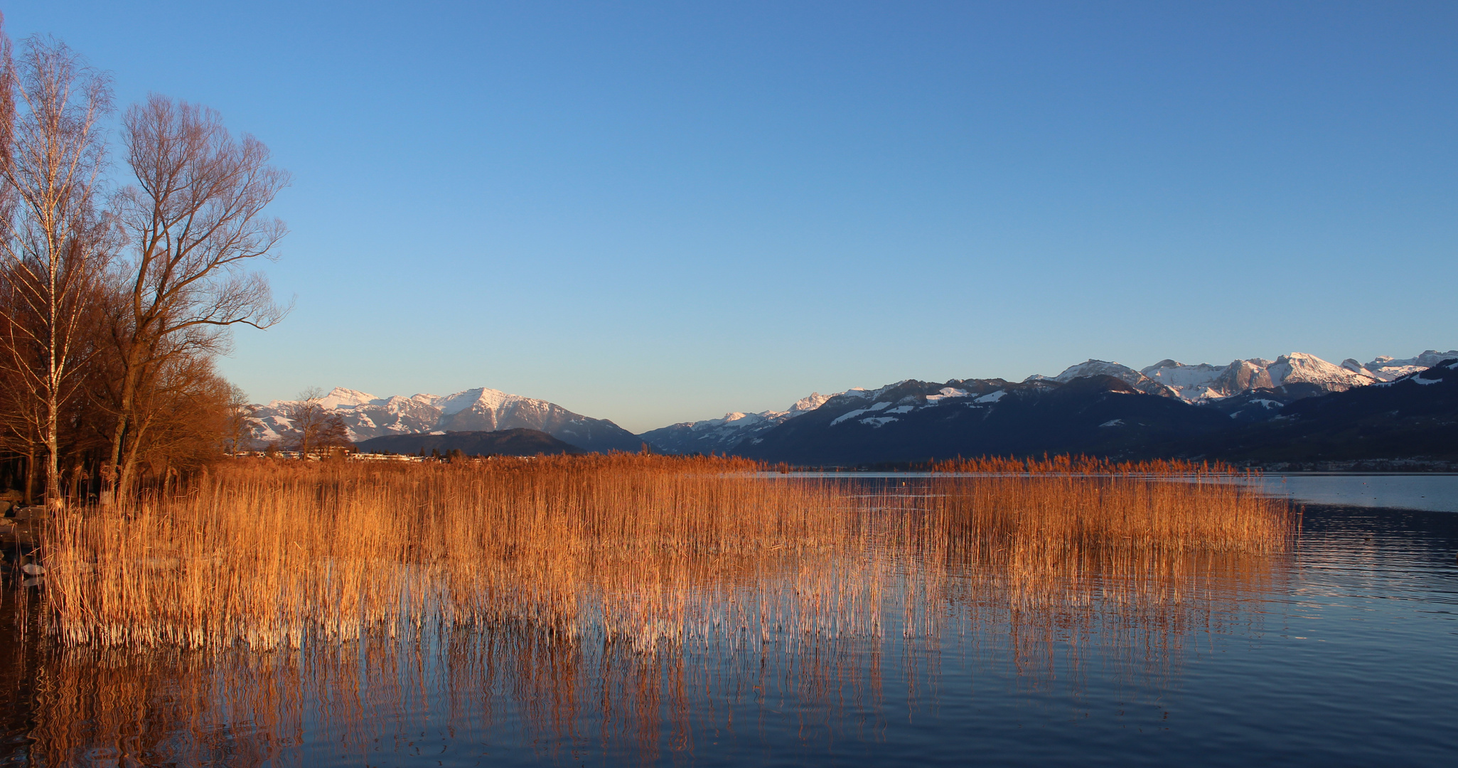 Abendstimmung über dem Obersee