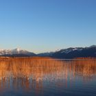 Abendstimmung über dem Obersee