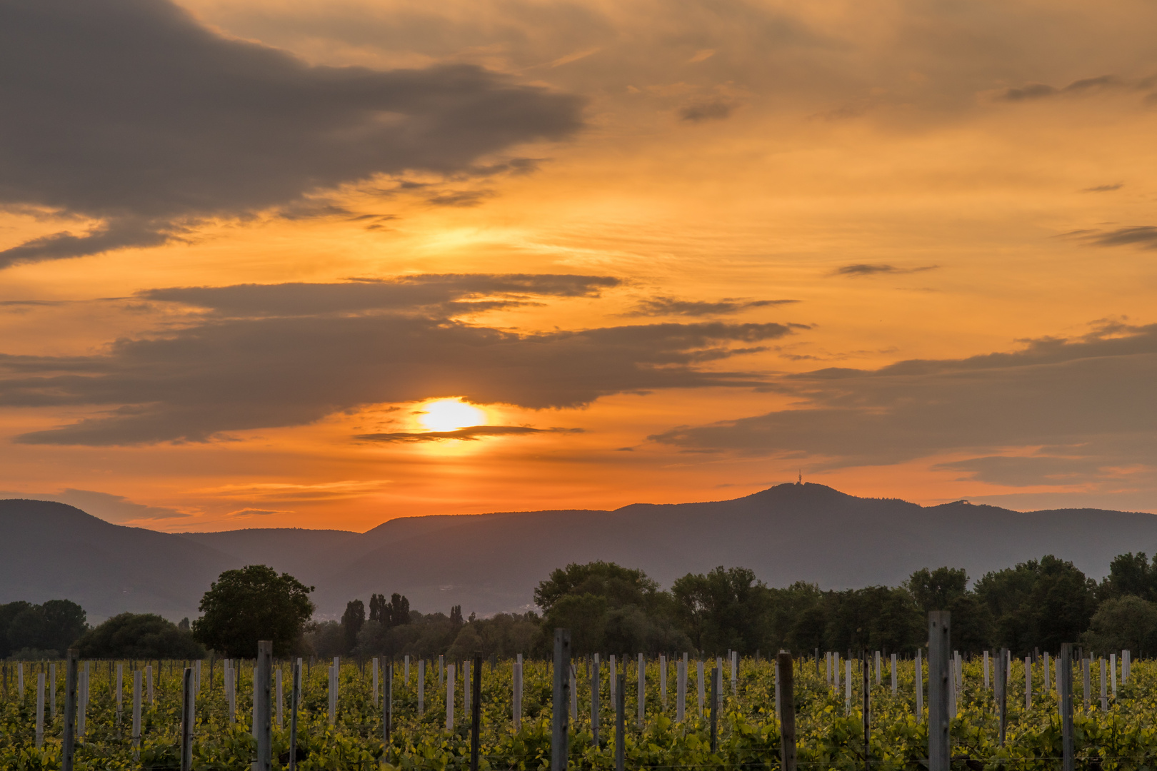 Abendstimmung über dem Pfälzer Wald