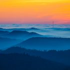 Abendstimmung über dem Pfälzerwald