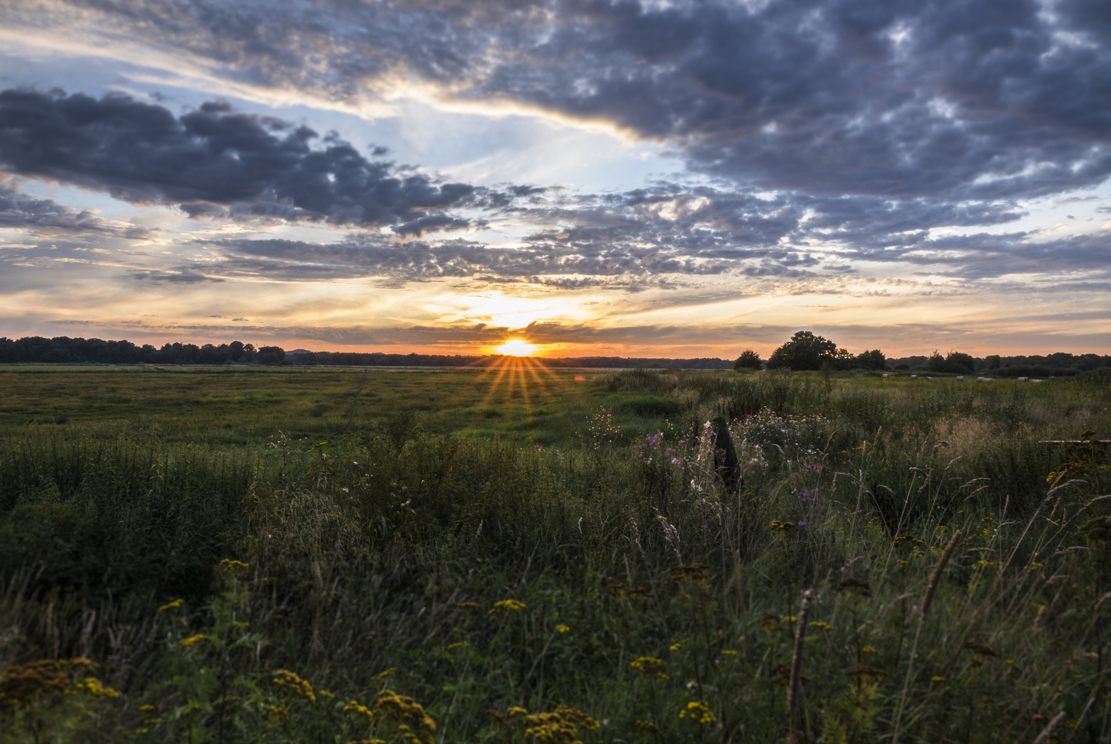 Abendstimmung über dem Teufelsmoor