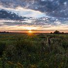 Abendstimmung über dem Teufelsmoor