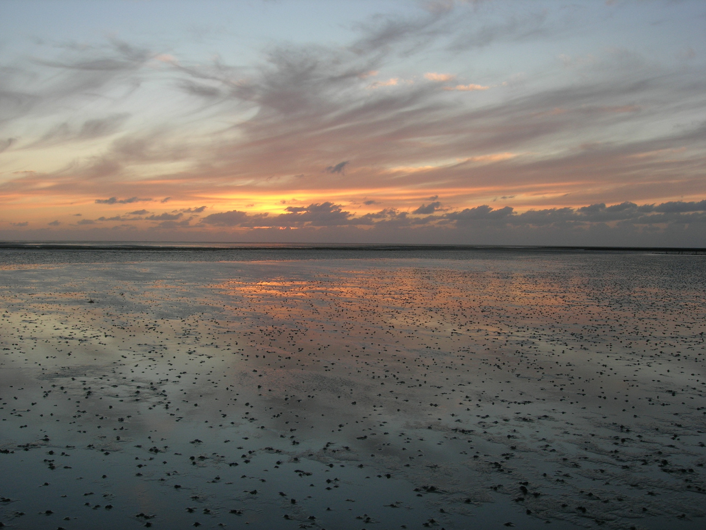 Abendstimmung über dem Wattenmeer in Büsum