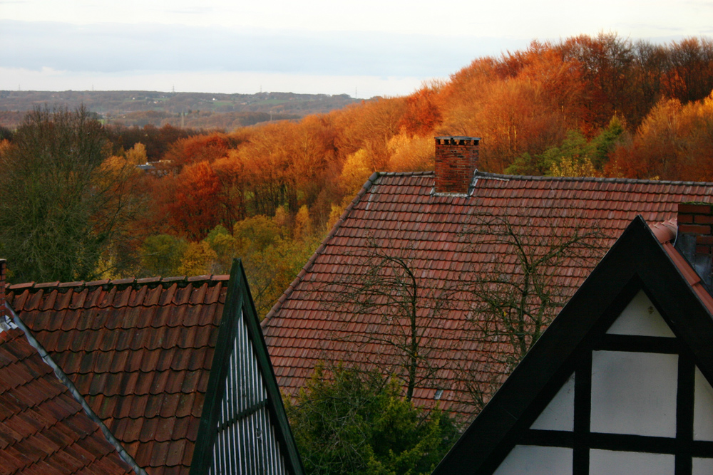 Abendstimmung über den Dächern von Tecklenburg