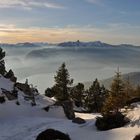 Abendstimmung über den Thunersee