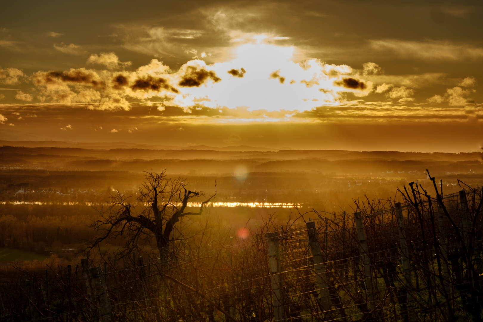 Abendstimmung über den Vogesen