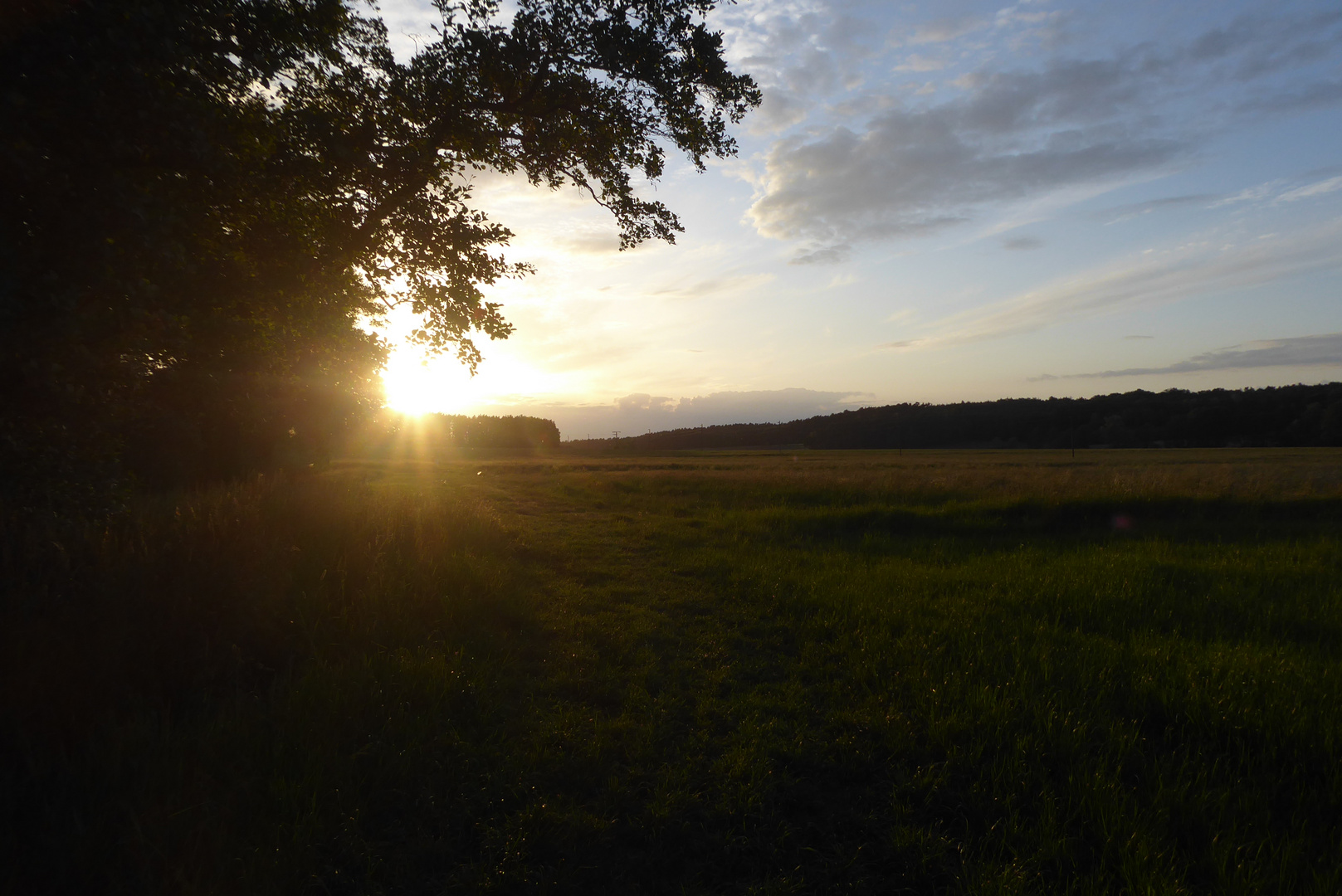 Abendstimmung über den Wiesen