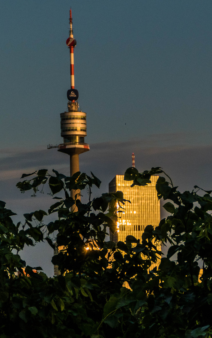 Abendstimmung über der Donau-City