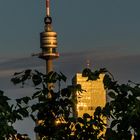 Abendstimmung über der Donau-City