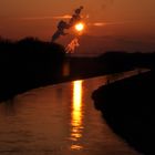 Abendstimmung über der Elster