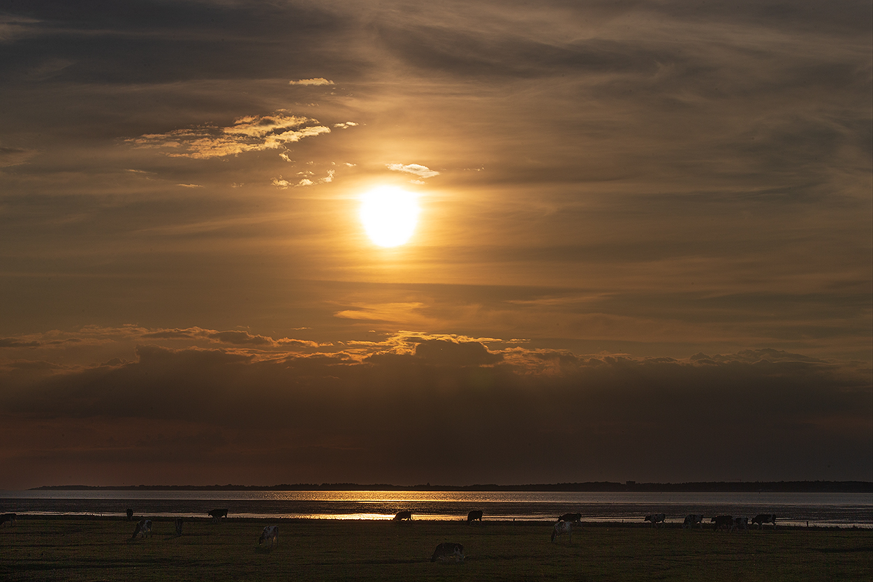 Abendstimmung über der Hallig