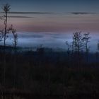 abendstimmung über der nebelgrenze...