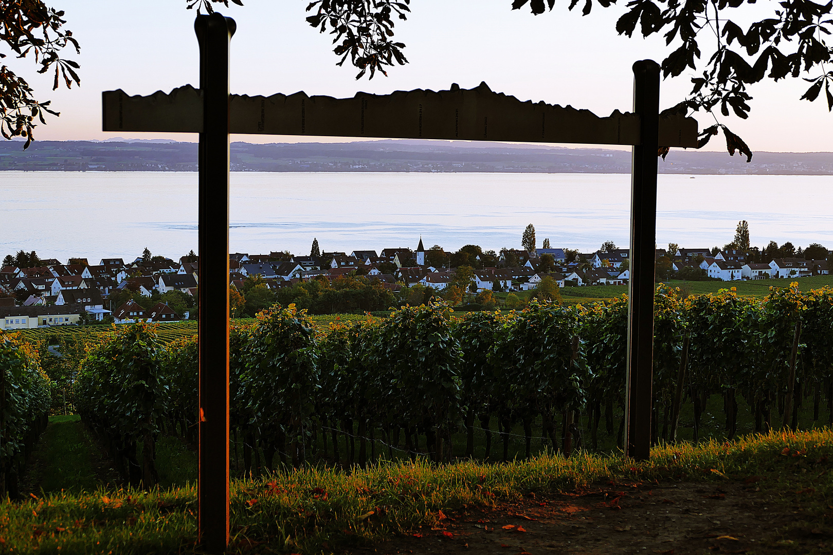 Abendstimmung über der Wilhelmshöhe und dem Bodensee