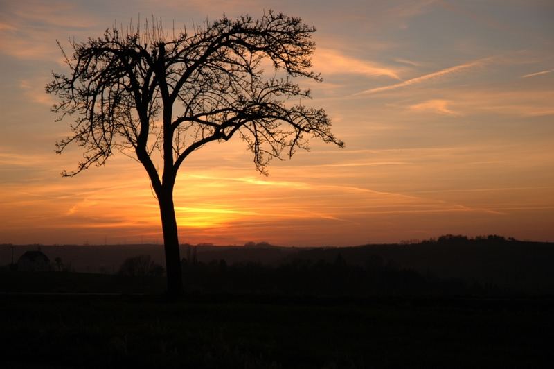 Abendstimmung über Döbeln