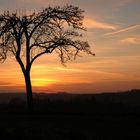 Abendstimmung über Döbeln