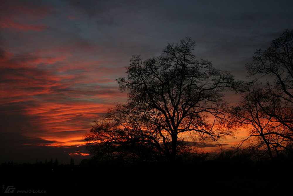 Abendstimmung über Münster