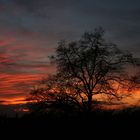 Abendstimmung über Münster