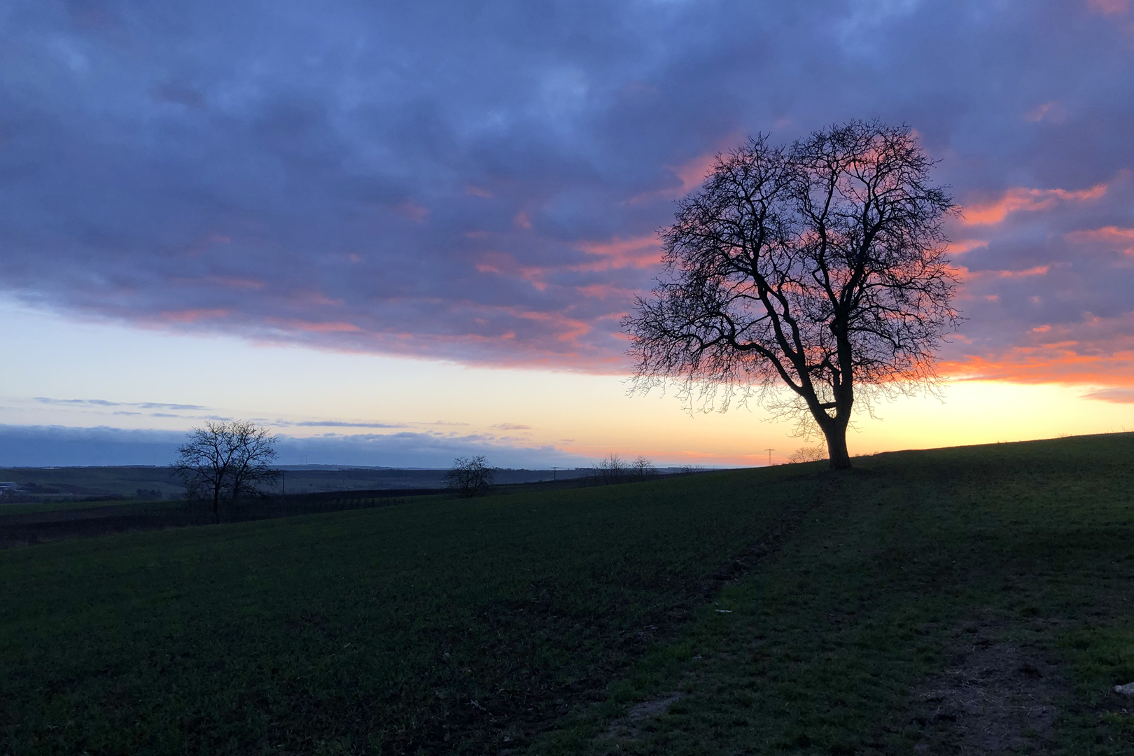 Abendstimmung über Rheinhessen