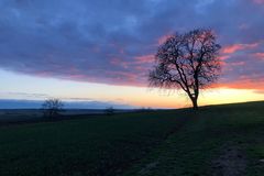 Abendstimmung über Rheinhessen