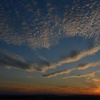 Abendstimmung über Rheinhessen