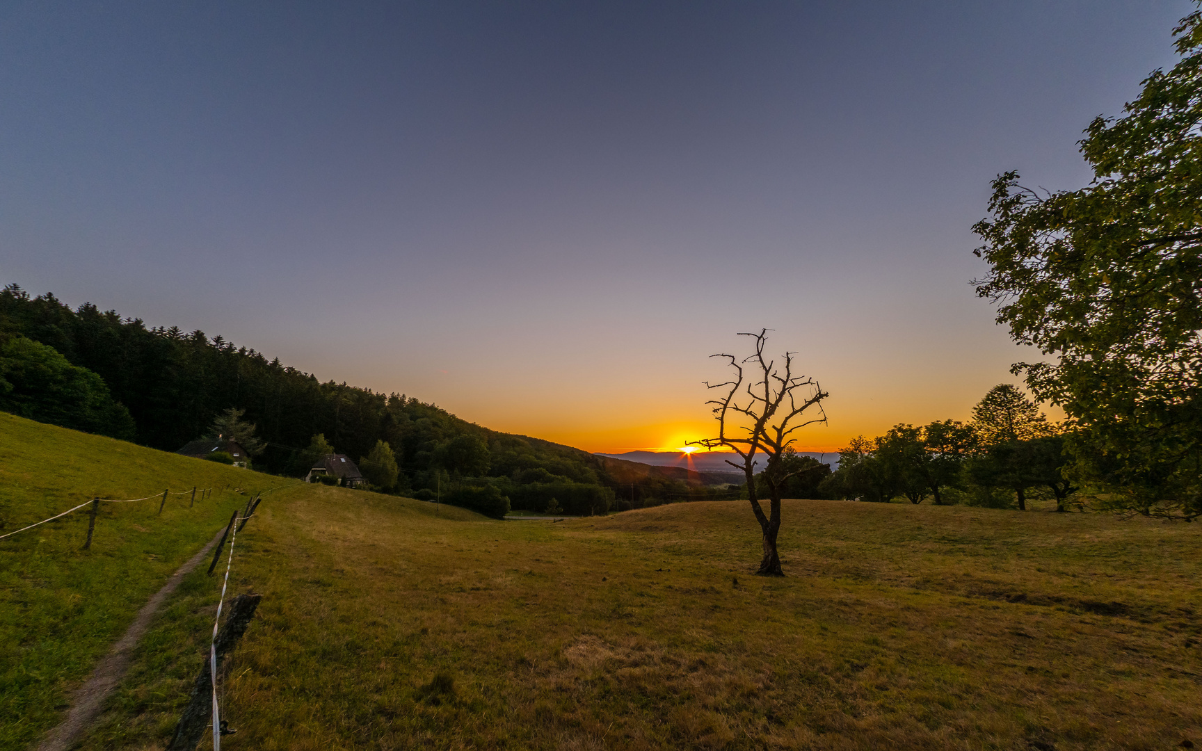 Abendstimmung über Wiesen, Wald und Vogesen