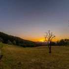 Abendstimmung über Wiesen, Wald und Vogesen