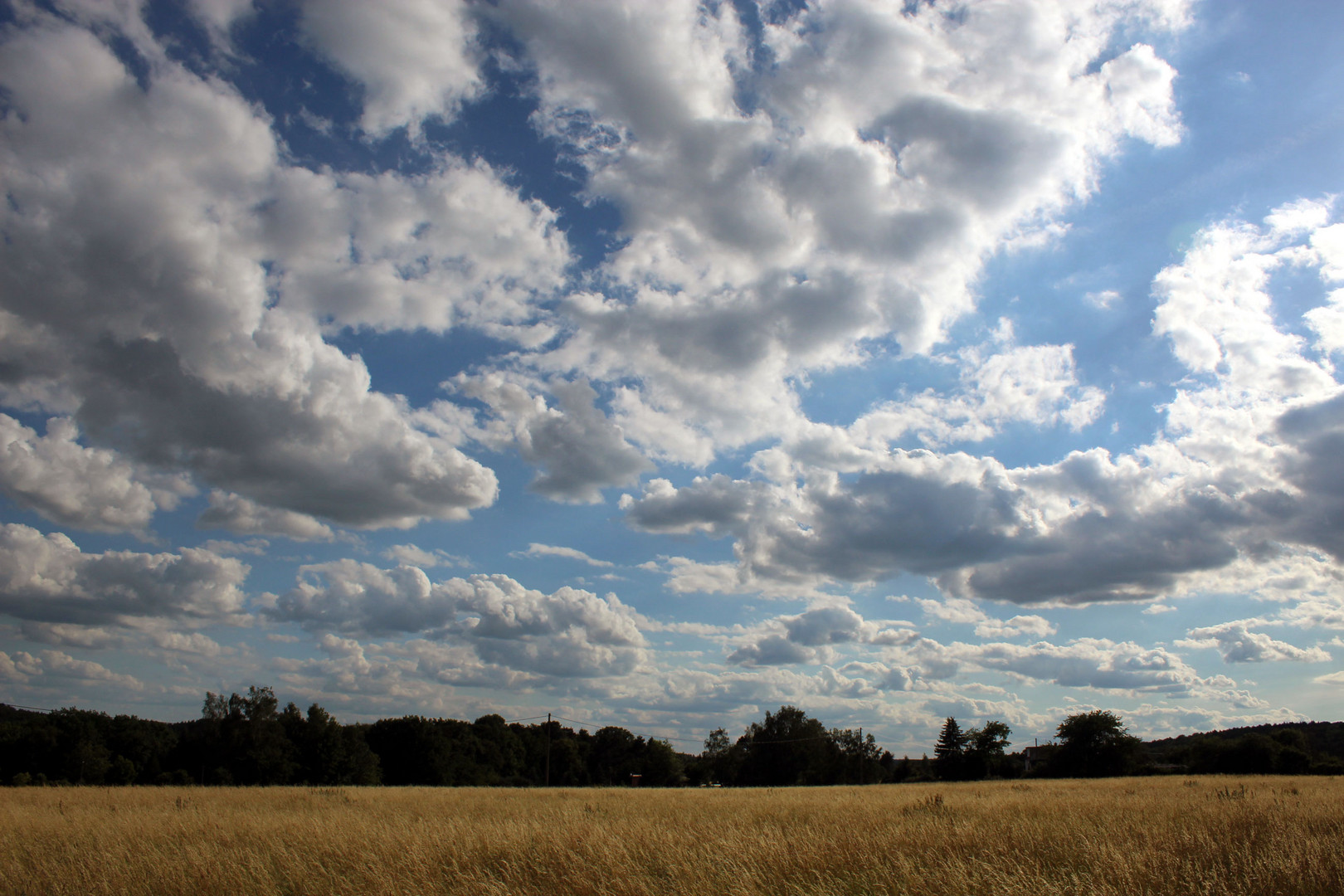 Abendstimmung überm Kornfeld