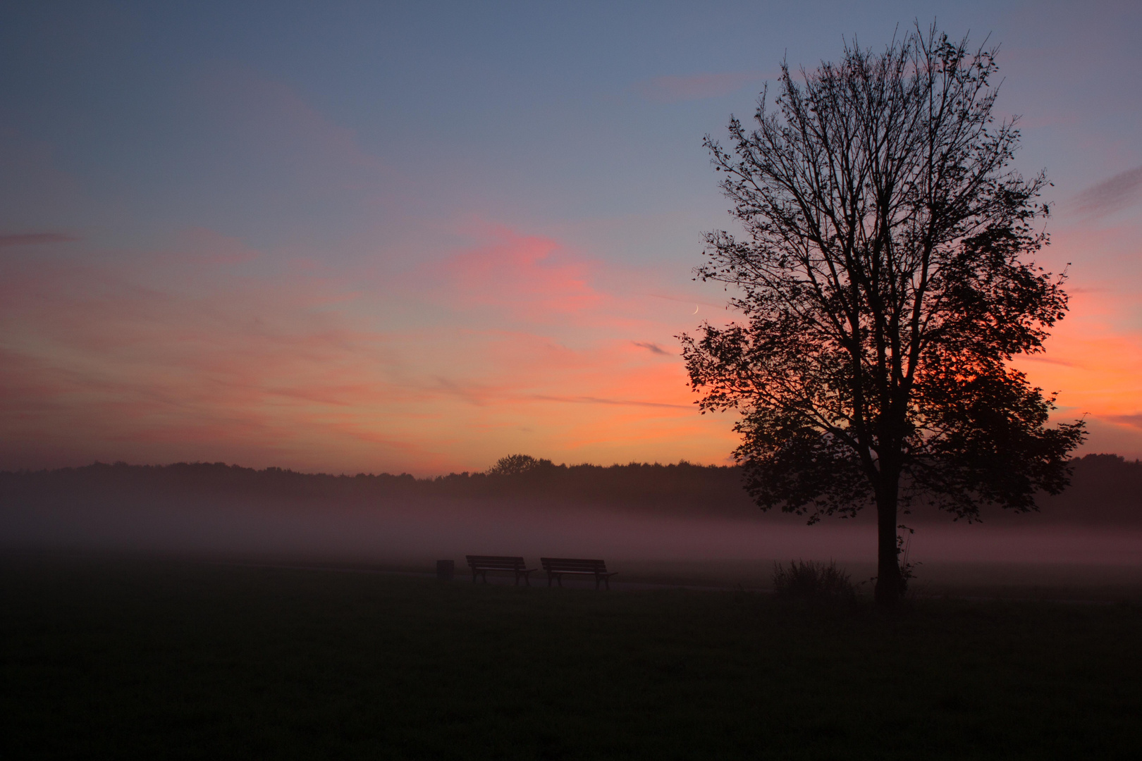 Abendstimmung überm Niddapark.