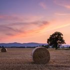 Abendstimmung überm Rollfeld