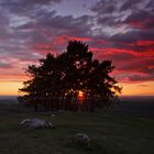 Abendstimmung unter dem Teckberg