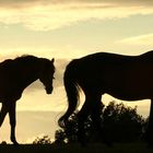 Abendstimmung V