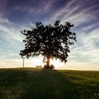 Abendstimmung Vogtareuth 2