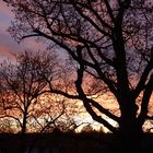 Abendstimmung von meinem Balkon aus :)