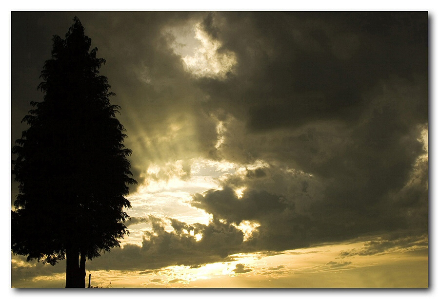 Abendstimmung vor dem Regen