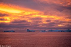 Abendstimmung vor Ilimanaq - Grönland