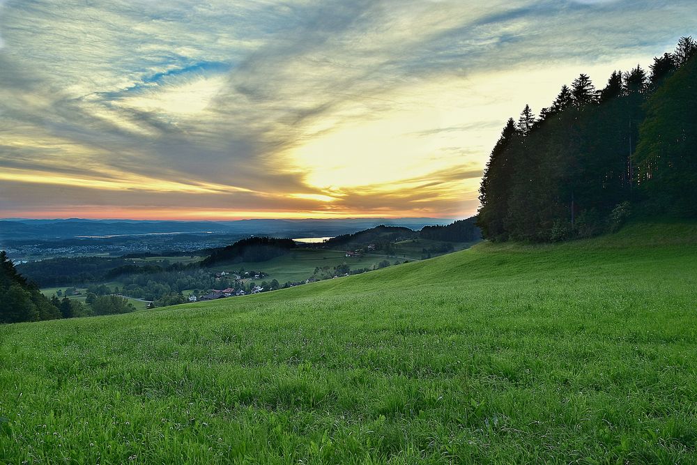 Abendstimmung Züri Oberland