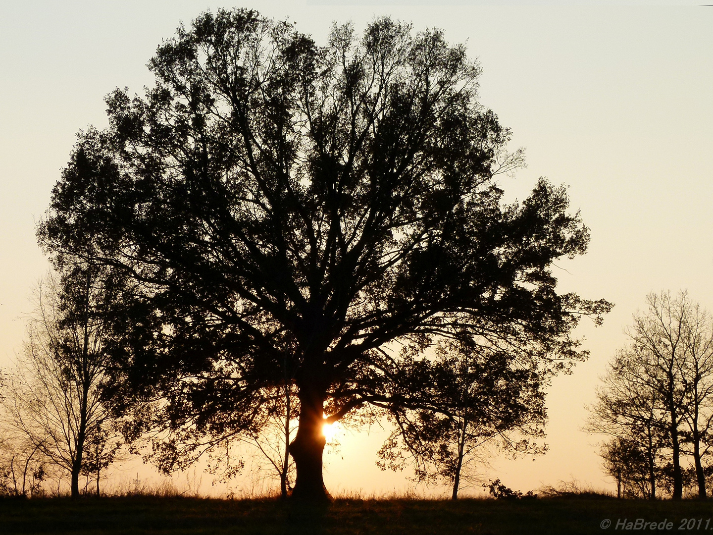 Abendstimmung003