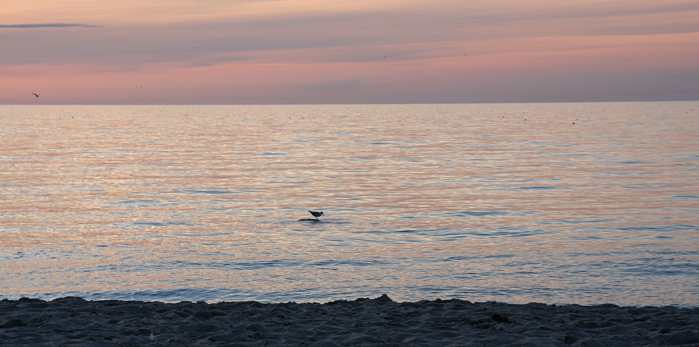 Abendstimmungen V....auf der....