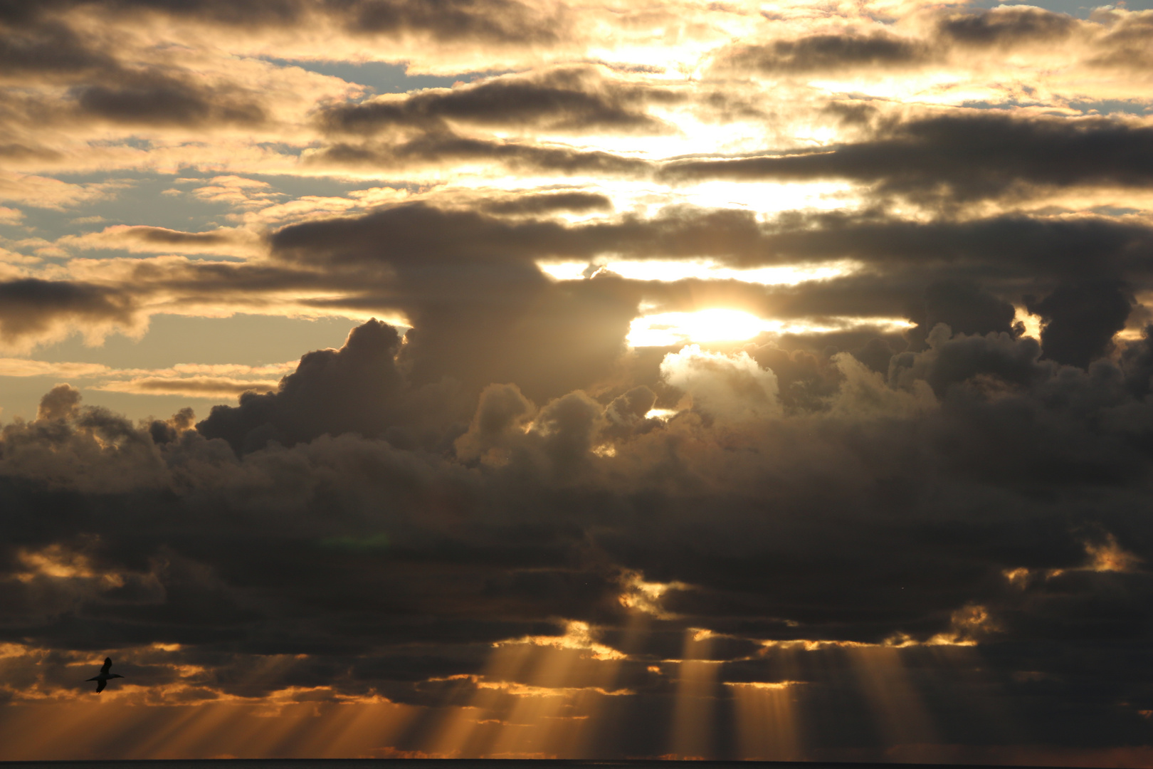 Abendstrahlen über der Nordsee