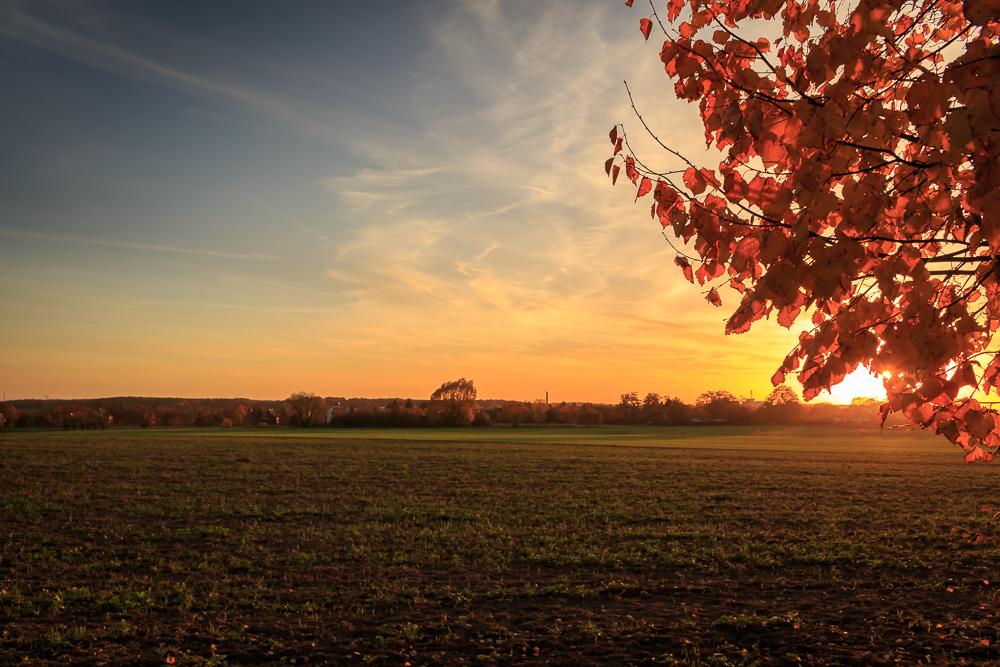 Abendstunde