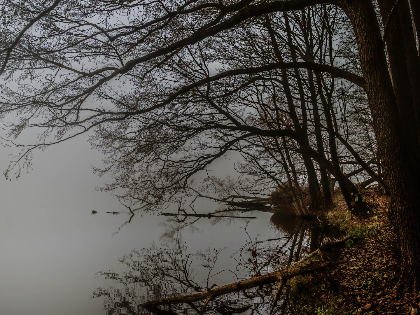 Abendstunde am See bei dichtem Nebel