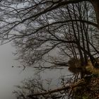 Abendstunde am See bei dichtem Nebel